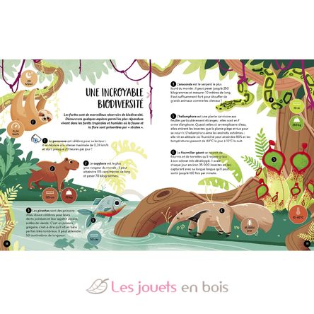 Méga Atlas de la Terre SJ-5530 Sassi Junior 4