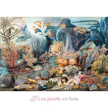 Vie de l'océan de Sommerville A1032-650 Puzzle Michèle Wilson 2