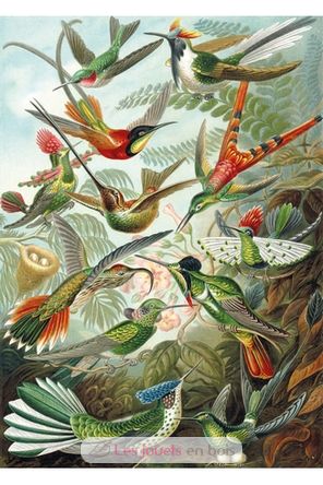 Les colibris HAECKEL WA539-500 Puzzle Michèle Wilson 2