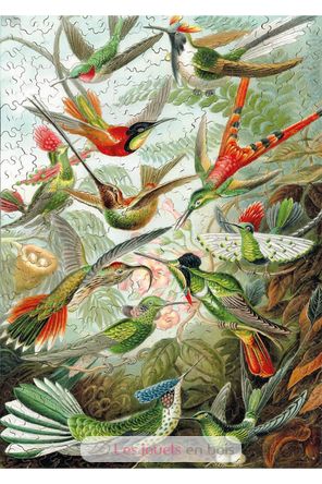 Les colibris HAECKEL WA539-500 Puzzle Michèle Wilson 3