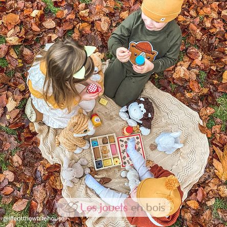 Boîte à biscuits en bois BJ470 Bigjigs Toys 6