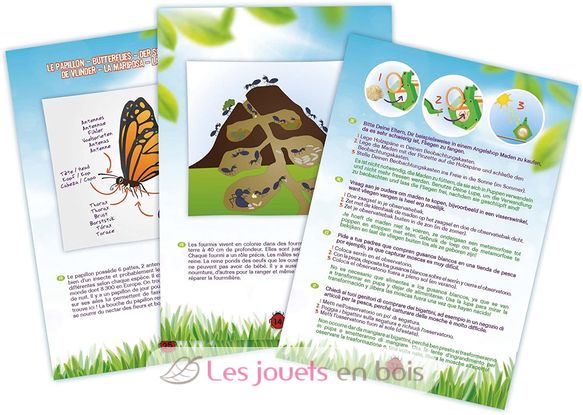 Explorateur d'insectes BUK-BL033 Buki France 3