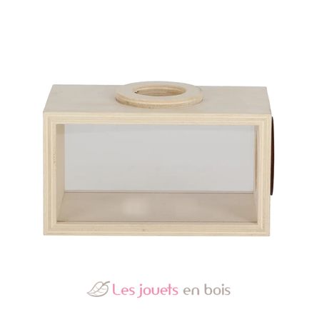 Boîte d'observation insectes en bois ED-KG371 Esschert Design 2
