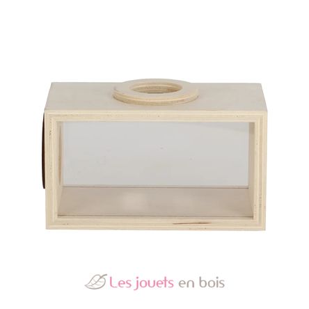 Boîte d'observation insectes en bois ED-KG371 Esschert Design 5