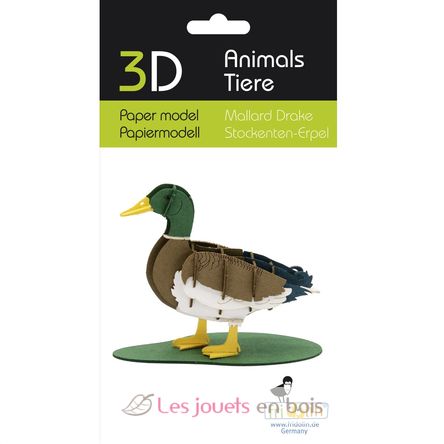 Maquette 3D en papier Canard colvert mâle FRI-11756 Fridolin 2