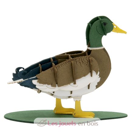 Maquette 3D en papier Canard colvert mâle FRI-11756 Fridolin 1