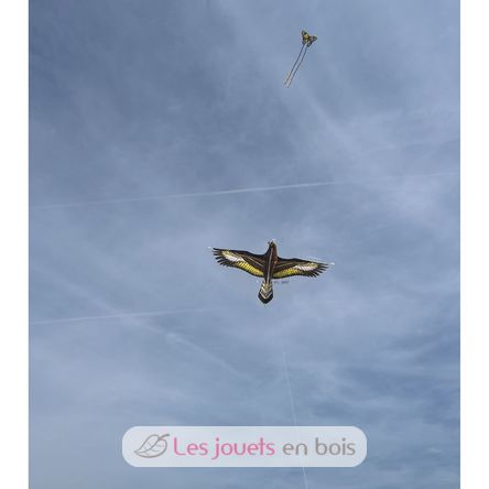 Cerf-volant Aigle royal GU-1146 Günther 4