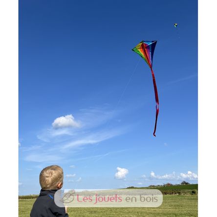 Cerf-volant en polyester Classic GU-1119 Günther 4