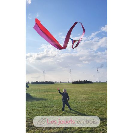 Cerf-volant en polyester Classic GU-1119 Günther 5