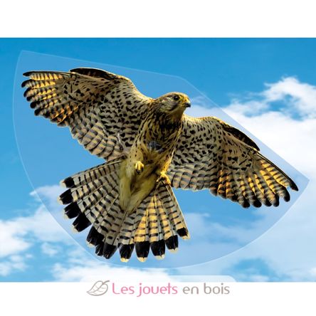 Cerf-volant Faucon GU1230 Günther 3