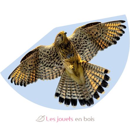 Cerf-volant Faucon GU1230 Günther 1