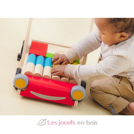 Chariot de marche avec cubes ASA009-71 Plan Toys 5