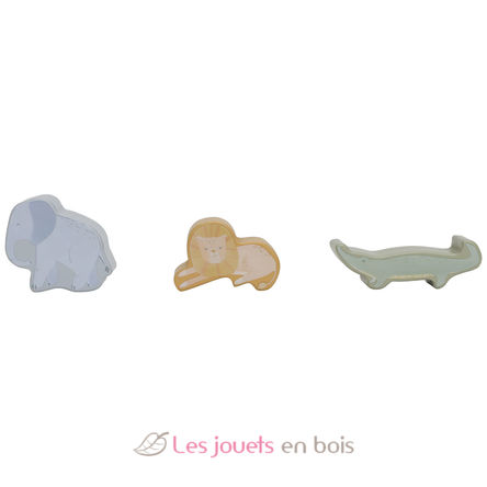 Chariot de marche Safari Friends LD7432 Little Dutch 9