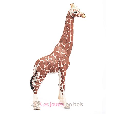 Figurine Girafe femelle SC-14750 Schleich 4