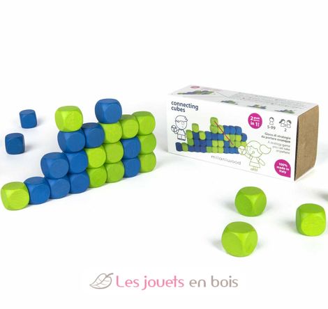 Jeu de domino - Jeu de construction en bois coloré pour enfant – L'Enfant  Malin