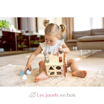 Cube d'activités 5 en 1 SM-SP1020 Speedy Monkey 7