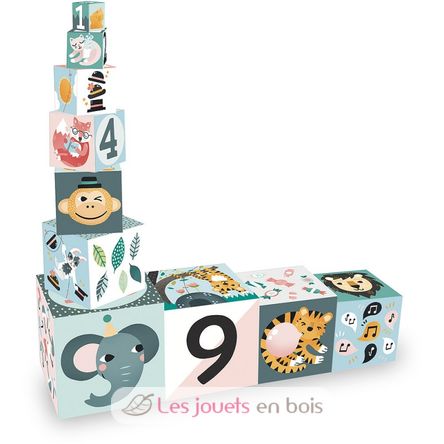 Cubes Gigognes - Les Animaux V8501 Vilac 3