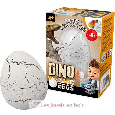 Dino Œuf Magique BUK-D6G Buki France 1