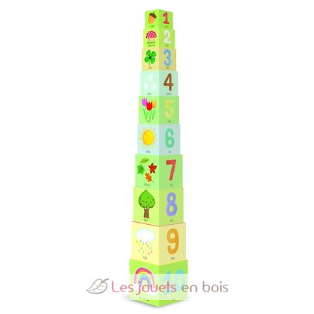 Eco-cubes de la nature SJ-2891 Sassi Junior 2