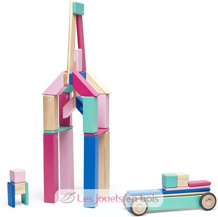 Set de 42 pièces Blossom TG-42P-BSM-607T Tegu 9