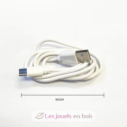 Câble USB-C VI-ES33 Vintiun 2