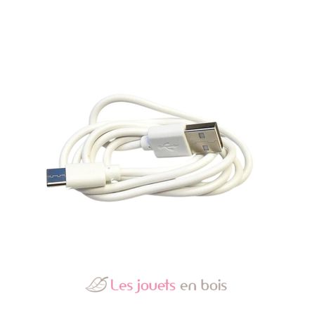 Câble USB-C VI-ES33 Vintiun 1