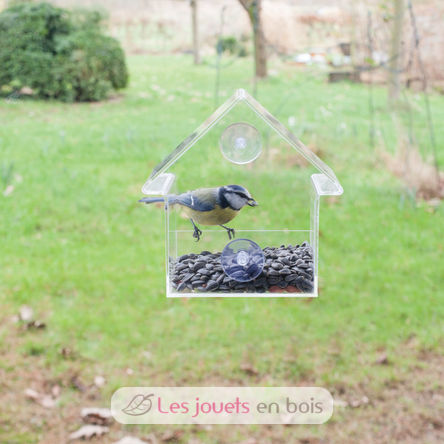 Mangeoire fenêtre acrylique Esschert Design FB370 - Mangeoire transparente  pour oiseaux