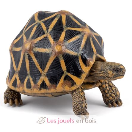 Figurine Tortue étoilée PA-50333 Papo 1