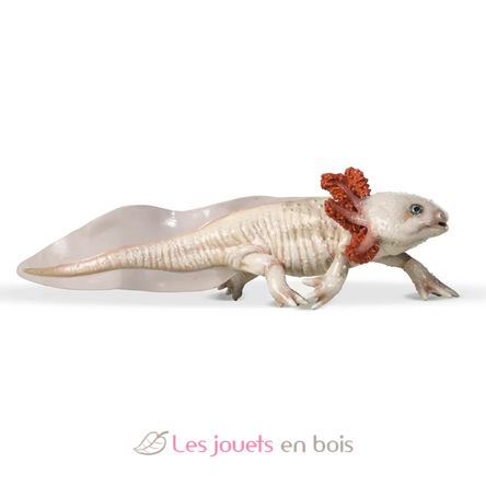 Figurine Axolotl PA-56066 Papo 5