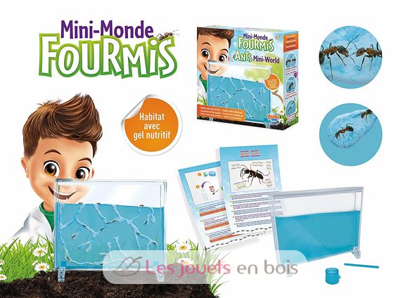 Mini Monde des Fourmis BUK-FS4206 Buki France 7