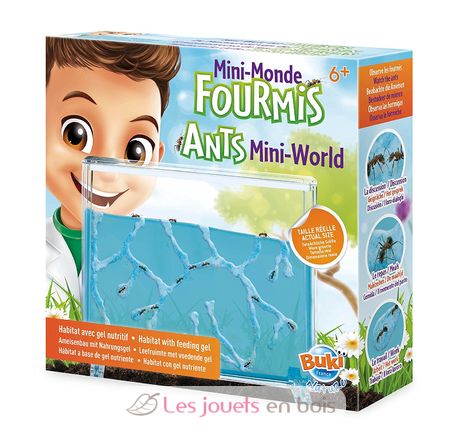 Mini Monde des Fourmis BUK-FS4206 Buki France 1