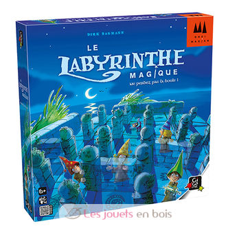 Le labyrinthe magique GG-DRLAB Gigamic 2