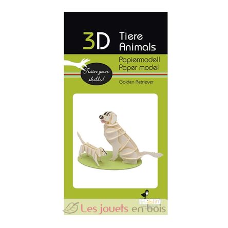 Maquette 3D en papier Golden Retriever FRI-11717 Fridolin 2