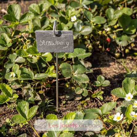 Marqueur de plantes en ardoise sur tige ED-GT132 Esschert Design 4