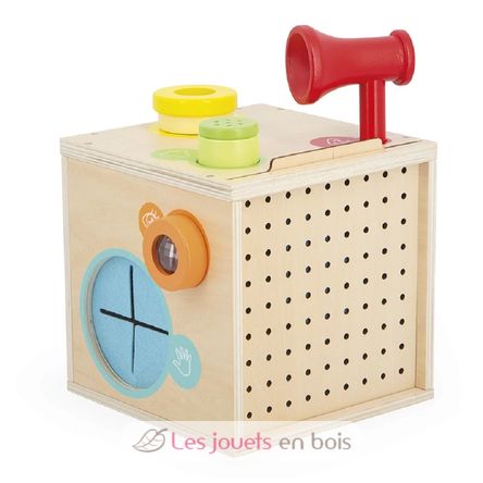Boite sensorielle J05307 Janod 5