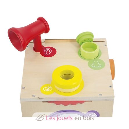 Boite sensorielle J05307 Janod 6