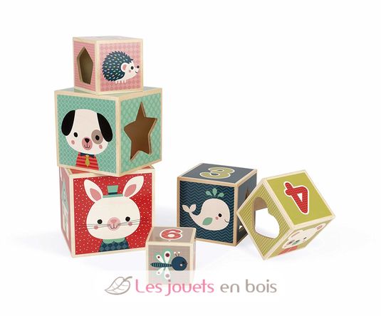 Pyramide 6 cubes Baby Forest J08016 Janod 2