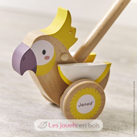 Cacatoès à pousser en bois J08604 Janod 8