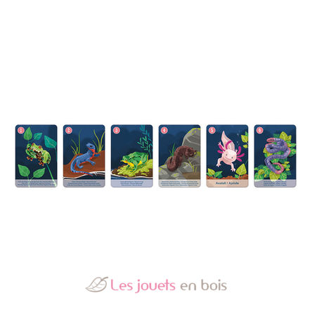 Jeu de 7 Familles le Règne Animal J08634 Janod 5