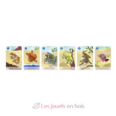 Jeu de 7 Familles le Règne Animal J08634 Janod 4