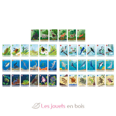 Jeu de 7 Familles le Règne Animal J08634 Janod 3