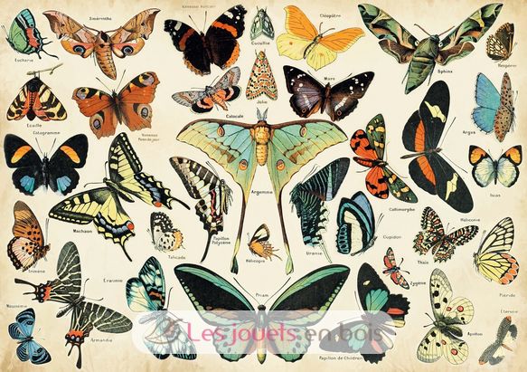 Papillons d'après Millot K1227-100 Puzzle Michèle Wilson 2