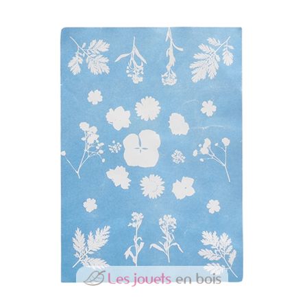 DIY Papier photo solaire A5 ED-KG293 Esschert Design 1