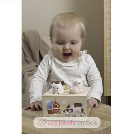 Jouet pop-up Little Farm LD7156 Little Dutch 6