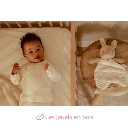 Doudou lapin Newborn LD8402 Little Dutch 4