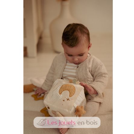 Cube d'activités Soft Newborn LD8409 Little Dutch 12