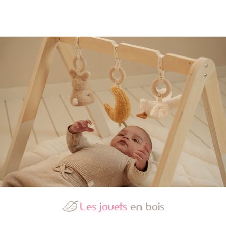 Arche d’éveil en bois Newborn LD8410 Little Dutch 9