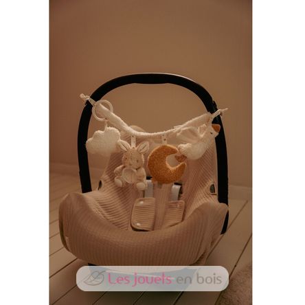 Chaine d'activités poussette Newborn LD8411 Little Dutch 4