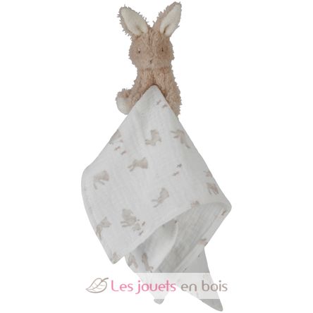 Coffret Cadeau Baby Bunny LD8859 Little Dutch 5