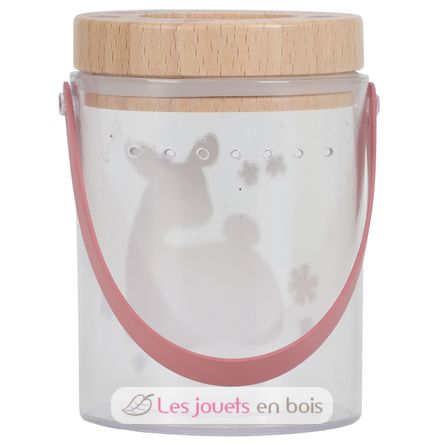 Boite à insectes Fairy Garden LD9104 Little Dutch 9